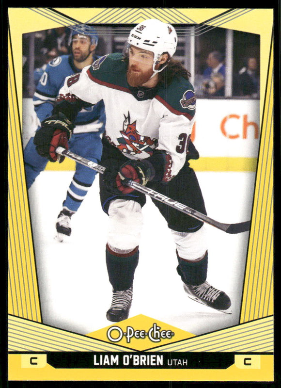 2024-25 O-Pee-Chee Yellow #193 Liam O'Brien