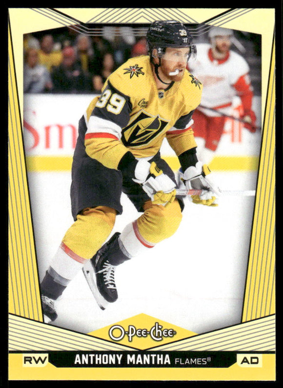 2024-25 O-Pee-Chee Yellow #210 Anthony Mantha
