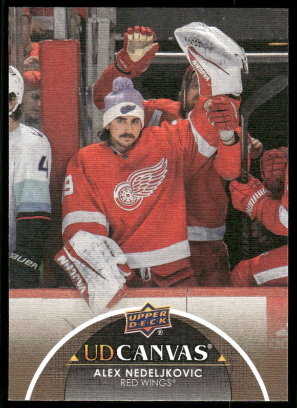 2021-22 Upper Deck Canvas #C298 Alex Nedeljkovic