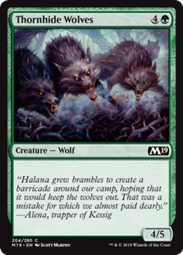 Thornhide Wolves - Core Set 2019 (M19) - English - NM - MTG