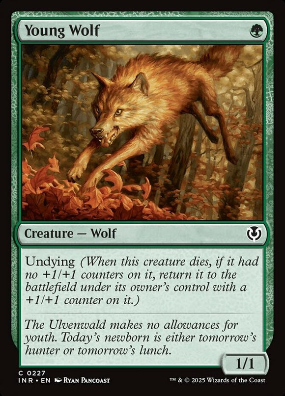 Young Wolf - Innistrad Remastered - English - NM - MTG