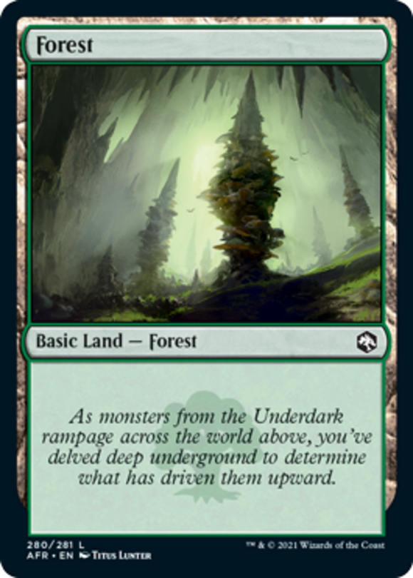 Forest (280) - Forgotten Realms - English - NM - MTG