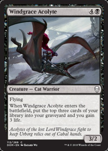 Windgrace Acolyte - Dominaria - English - NM - MTG