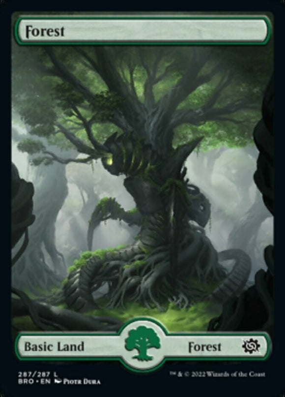 Forest (287) - Full Art - The Brothers' War - English - NM - MTG