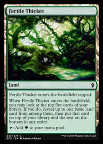 Fertile Thicket - Battle for Zendikar - English - NM - MTG