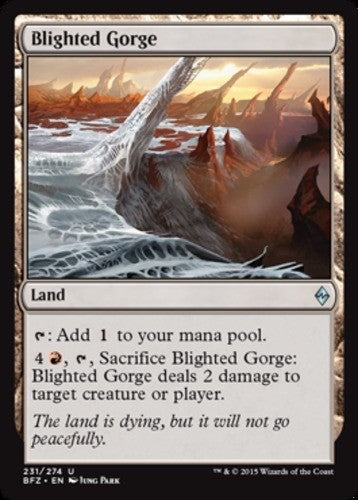 Blighted Gorge - Battle for Zendikar - English - NM - MTG