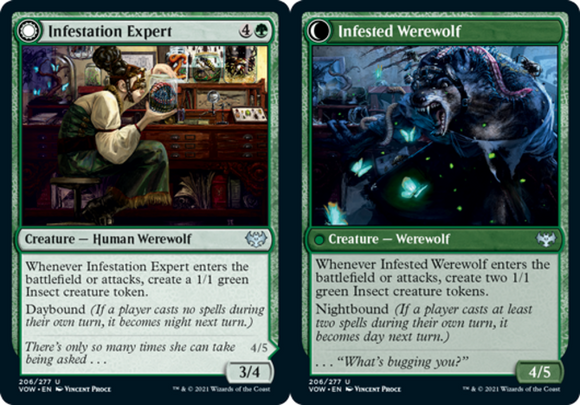 Infestation Expert // Infested Werewolf - Innistrad: Crimson Vow - English - NM