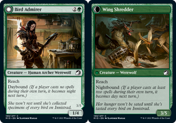 Bird Admirer // Wing Shredder - Innistrad: Midnight Hunt - English - NM - MTG