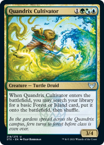 Quandrix Cultivator - Strixhaven: School of Mages - English - NM - MTG