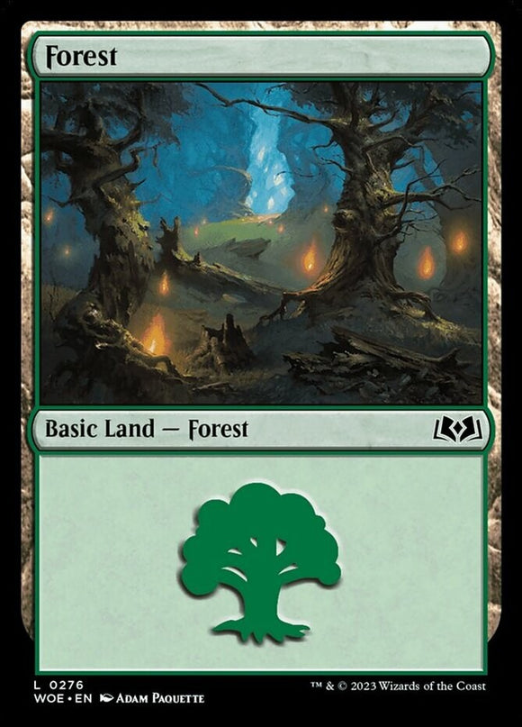 Forest (0276) - Wilds of Eldraine - English - NM - MTG