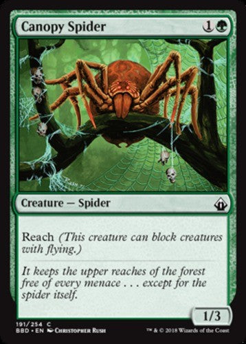 Canopy Spider - Battlebond - English - NM - MTG
