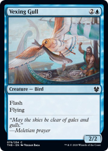 Vexing Gull - Theros Beyond Death - English - NM - MTG