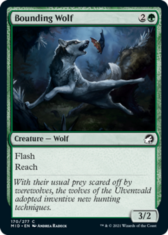 Bounding Wolf - Innistrad: Midnight Hunt - English - NM - MTG