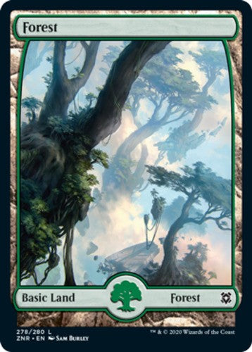 Forest (278) - Zendikar Rising - English - NM - MTG