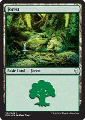 Forest (269) - Dominaria - English - NM - MTG