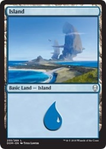 Island (255) - Dominaria - English - NM - MTG