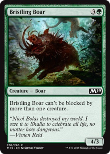 Bristling Boar - Core Set 2019 (M19) - English - NM - MTG