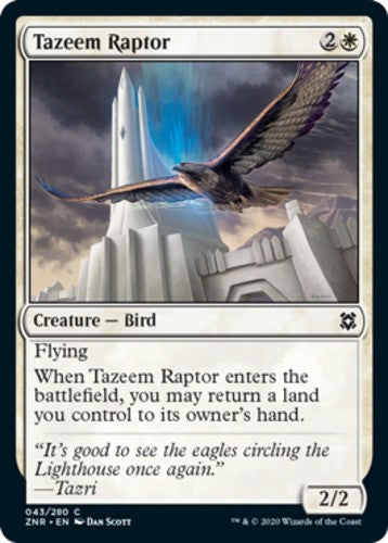 Tazeem Raptor - Zendikar Rising - English - NM - MTG
