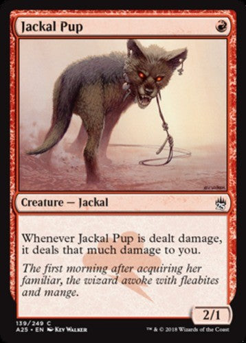 Jackal Pup - Masters 25 - English - NM - MTG