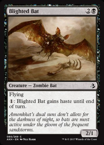 Blighted Bat - Amonkhet - English - NM - MTG