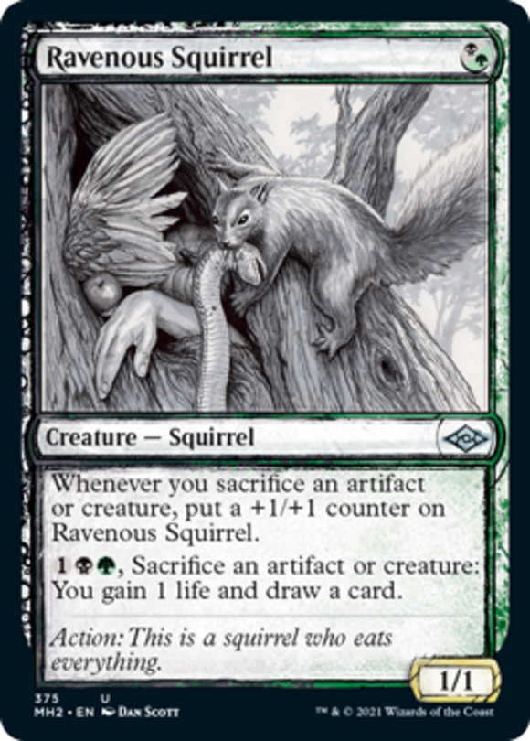 Ravenous Squirrel - Showcase - Modern Horizons 2 - English - NM - MTG
