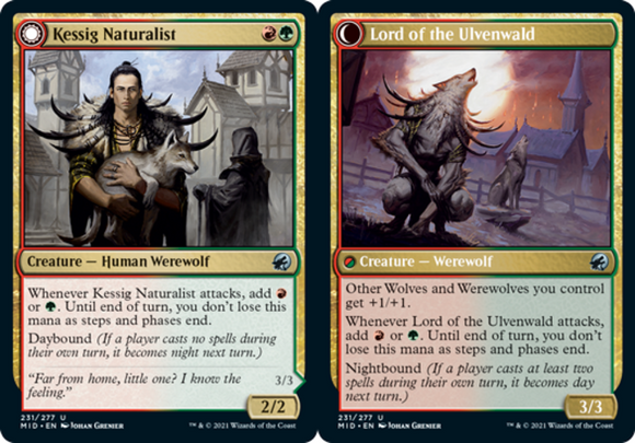 Kessig Naturalist // Lord of the Ulvenwald - Innistrad: Midnight Hunt - English