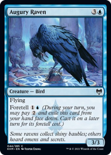 Augury Raven - Kaldheim - English - NM - MTG