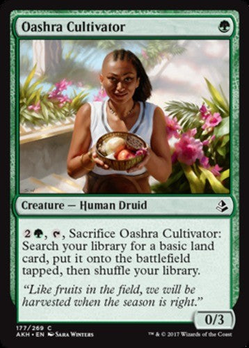 Oashra Cultivator - Amonkhet - English - NM - MTG