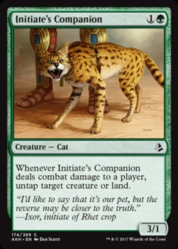 Initiate's Companion - Amonkhet - English - NM - MTG