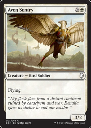 Aven Sentry - Dominaria - English - NM - MTG