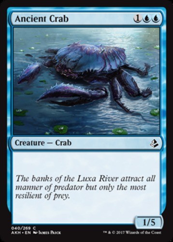 Ancient Crab - Amonkhet - English - NM - MTG