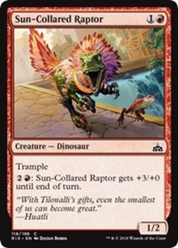 Sun-Collared Raptor - Rivals of Ixalan - English - NM - MTG
