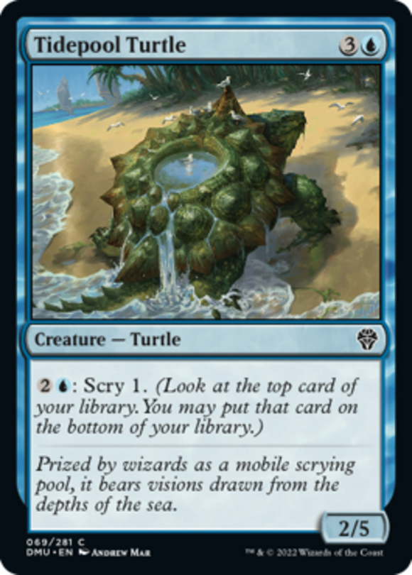 Tidepool Turtle - Dominaria United - English - NM - MTG