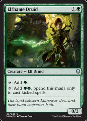 Elfhame Druid - Dominaria - English - NM - MTG