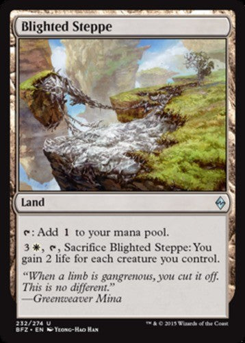 Blighted Steppe - Battle for Zendikar - English - NM - MTG