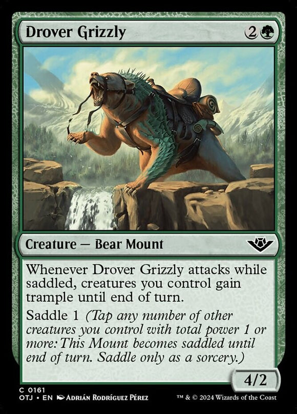 Drover Grizzly - Outlaws of Thunder Junction - English - NM - MTG