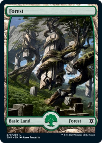 Forest (279) - Zendikar Rising - English - NM - MTG