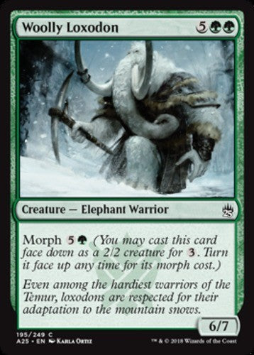 Woolly Loxodon - Masters 25 - English - NM - MTG