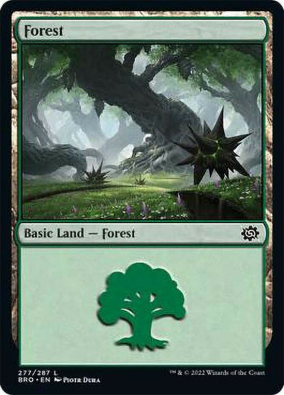 Forest (277) - The Brothers' War - English - NM - MTG
