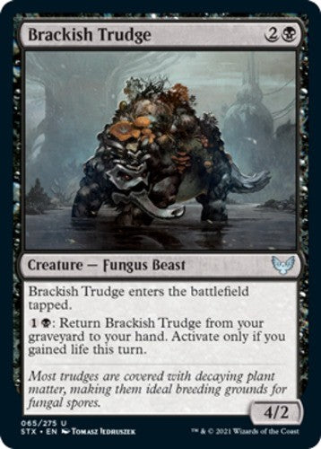 Brackish Trudge - Strixhaven: School of Mages - English - NM - MTG