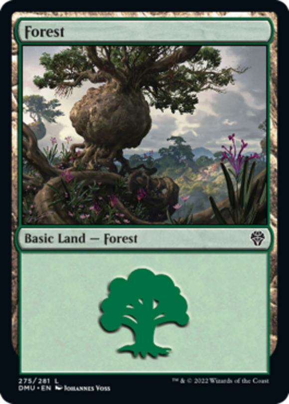 Forest (275) - Dominaria United - English - NM - MTG