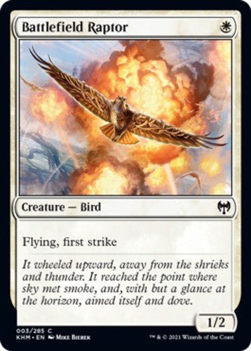Battlefield Raptor - Kaldheim - English - NM - MTG