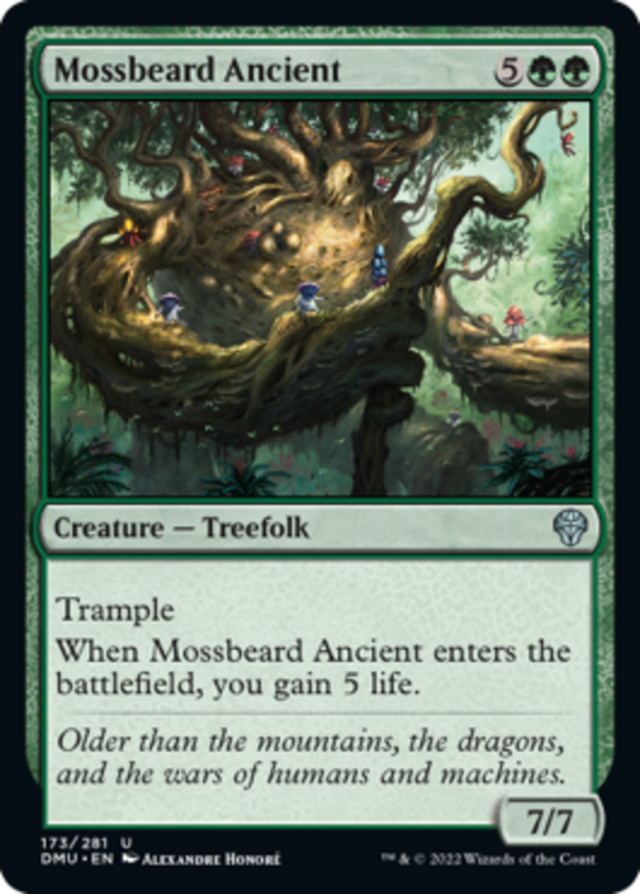 Mossbeard Ancient - Dominaria United - English - NM - MTG