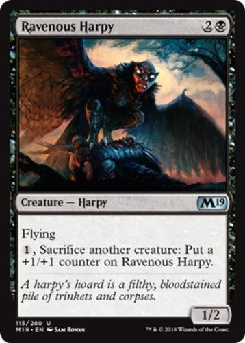 Ravenous Harpy - Core Set 2019 (M19) - English - NM - MTG